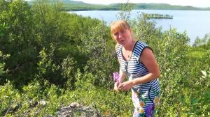 Поездка на Кольский Ч.3.( дорога на Териберку)