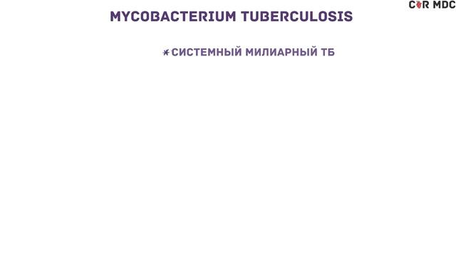 Туберкулез - микобактерия, симптомы, патофизиология, диагностика, лечение