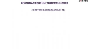 Туберкулез - микобактерия, симптомы, патофизиология, диагностика, лечение