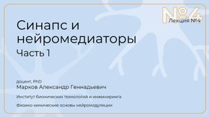Александр Марков. Лекция 4. Синапс и нейромедиаторы. Часть 1