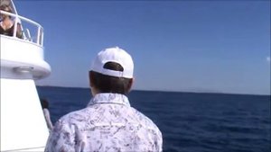 Морская прогулка Шармаль шейх