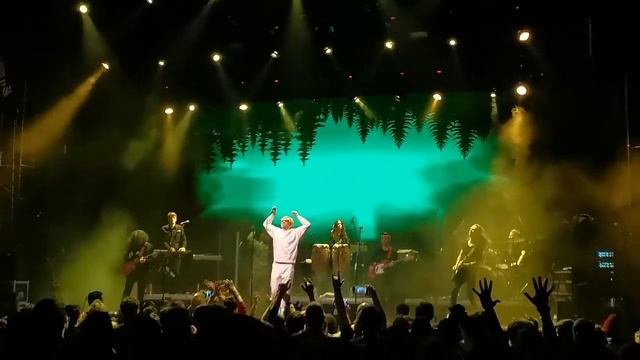 Найк Борзов - Про дурачка(автор песни Егор Летов) 30.10.20 Орджоникидзе 11/Б1/Glavclub смотреть онлайн