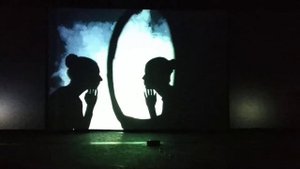 Театр теней 9