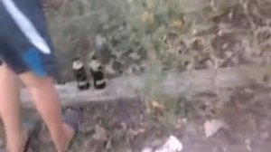 Как правильно разбить бутылку