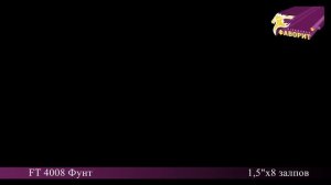 FT 4008 Фунт