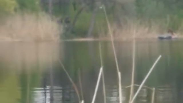 Козлы смотреть онлайн