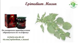 Эпимедиумная паста-эффект с первой ложки!