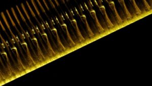 Видео КЛКТ реконструкции карты памяти CF