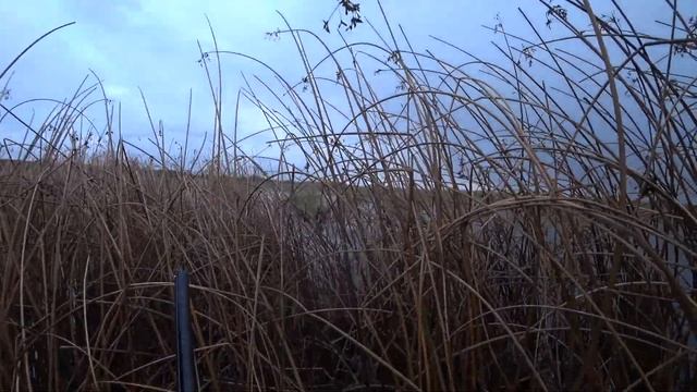 Лучшие Выстрелы с Охоты на Утку. Impala Plus смотреть онлайн