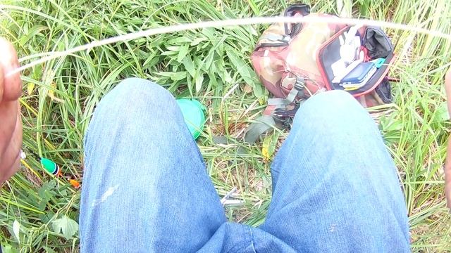 Ловля июльской щуки на живца смотреть онлайн