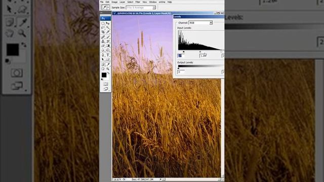 Easy Photoshop Techniques Tutorial