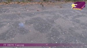 Гангстер FT 1003ТС Бытовая пиротехника ООО Фаворит