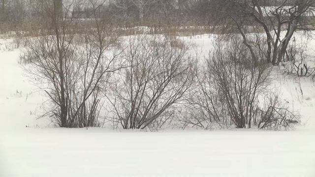 27.01.18 Депутаты хотят разрешить рыбную ловлю в заморных водоемах смотреть онлайн