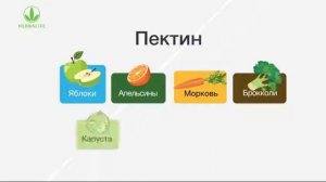 Клетчатка Гербалайф