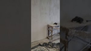 Электромонтаж в гофре по потолку и в штробах