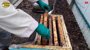 пчеловодство, итог зимовки верхняя вентиляция сколько осталось кормов