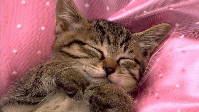 Поток свежих русских песен и видео - класс! смотреть онлайн