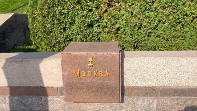 10.5 г