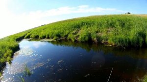 Реальная рыбалка  Речка Чистюнька  Лето   середина июня 3