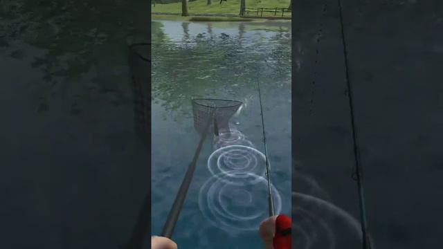 поймал жереха смотреть онлайн