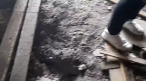 ГОРОД ПАВЛОВСК.ЧАСТЬ ПЕРВАЯ.