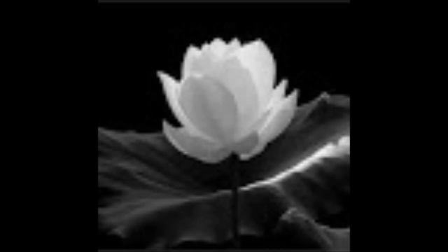 FLOWER DUET from LAKME (Delibes) HELEN ZEREFOS смотреть онлайн