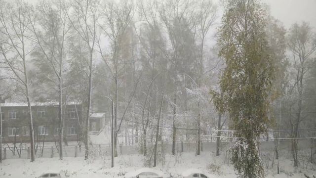 Снежная буря, г. Чайковский 08.10.2015 - 2 (4k) смотреть онлайн