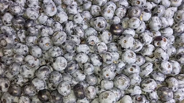 Голубика смотреть онлайн