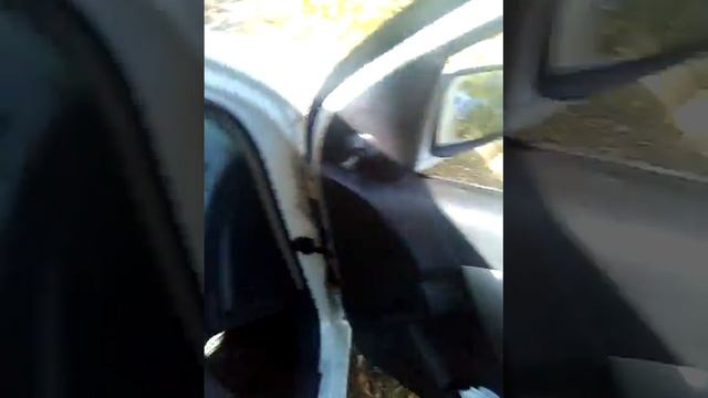 Мишкинская,сегодня клёва нет,просто отдых был.. смотреть онлайн