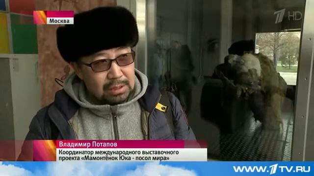 В Москве открылся первый фестиваль Русского географического общества смотреть онлайн