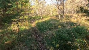 Кубок Пивососа 05.10.24