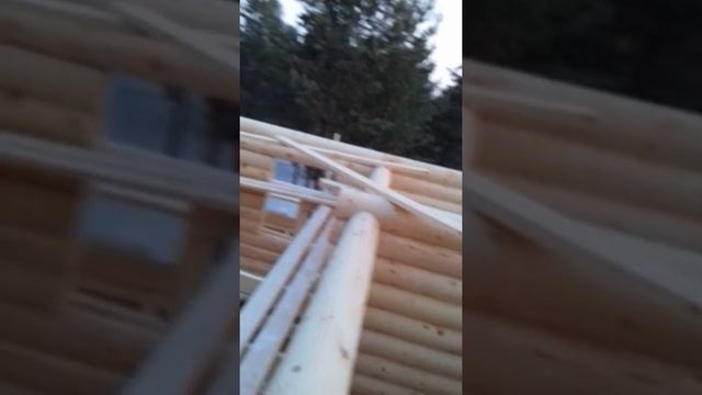 Дом баня из оцелендрованого бревна смотреть онлайн