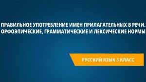 Правильное употребление имен прилагательных в речи.Орфоэпические,грамматические и лексические нормы