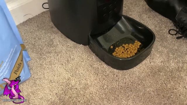 Testing Out the PETLIBRO Automatic Cat Feeder смотреть онлайн