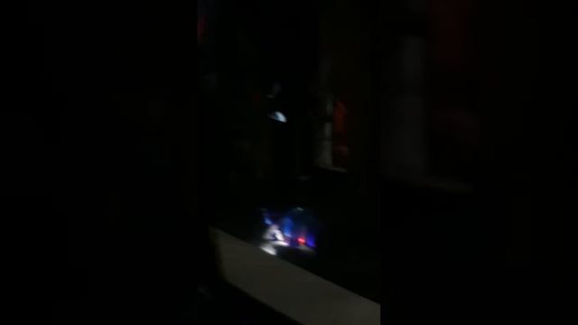 Если бы я был Harry Potter (2) смотреть онлайн