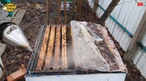 ПЧЕЛОВОДСТВО. итог зимовки верхняя вентиляция небольшое изменение