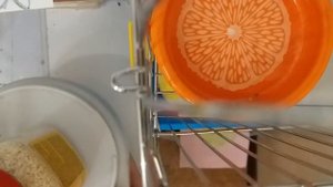 Самый лучший корм для джунгариков