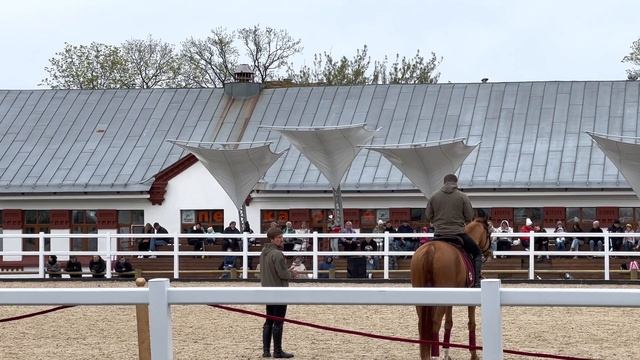 RECORD 🛑 MOSCOW LIVE | HORSE TRAINING | Кремлевская школа верховой езды | APRIL 30, 2023
