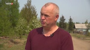 Вакцинация собак и кошек