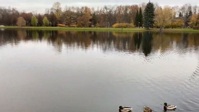 Экскурсия по Санкт Петербургу День 7 Завершающий смотреть онлайн