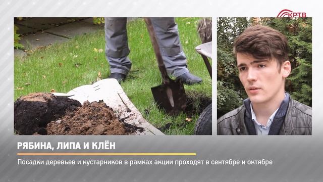 КРТВ. Рябина, липа и клён смотреть онлайн