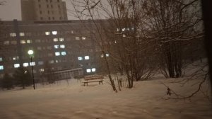 Институт питания в метель