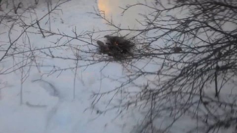 Зимняя рыбалка