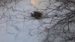 Зимняя рыбалка