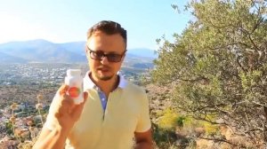 Ассимилятор Коралловый Клуб