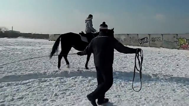 Занятие в КСК Конный Двор В Кузьминках 1 смотреть онлайн