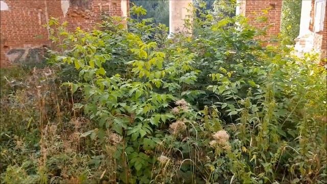АЛАБИНО-ПЕТРОВСКОЕ...
