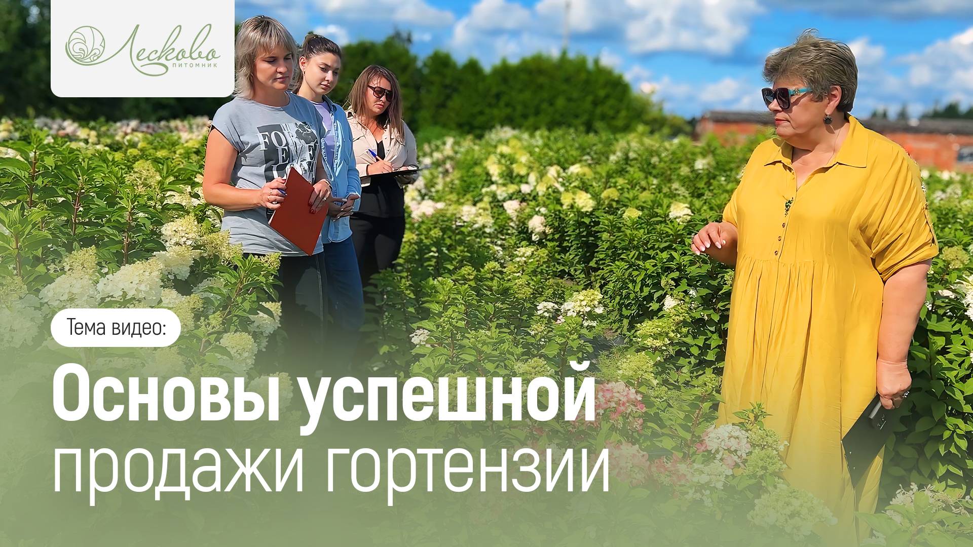 ОСНОВЫ УСПЕШНОЙ ПРОДАЖИ ГОРТЕНЗИИ