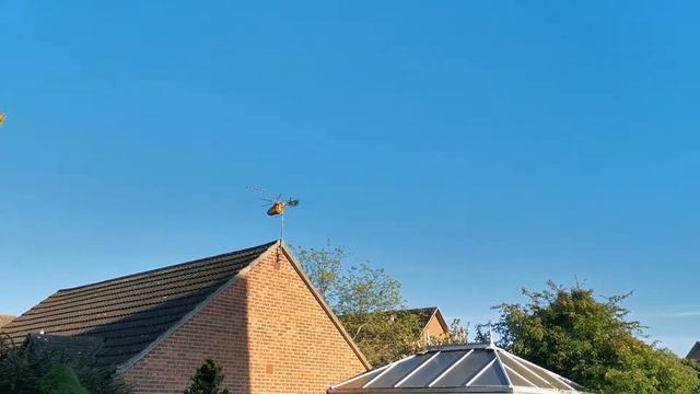 Belly popper. смотреть онлайн