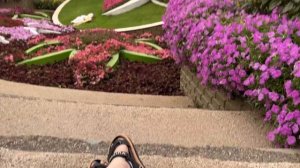 ДУБАЙ В КАЙФ ** ЖАРКИЙ ОБЗОР ГОРОДА **  Пляж JBR / Miracle Gargen /  Район Аль Барша.